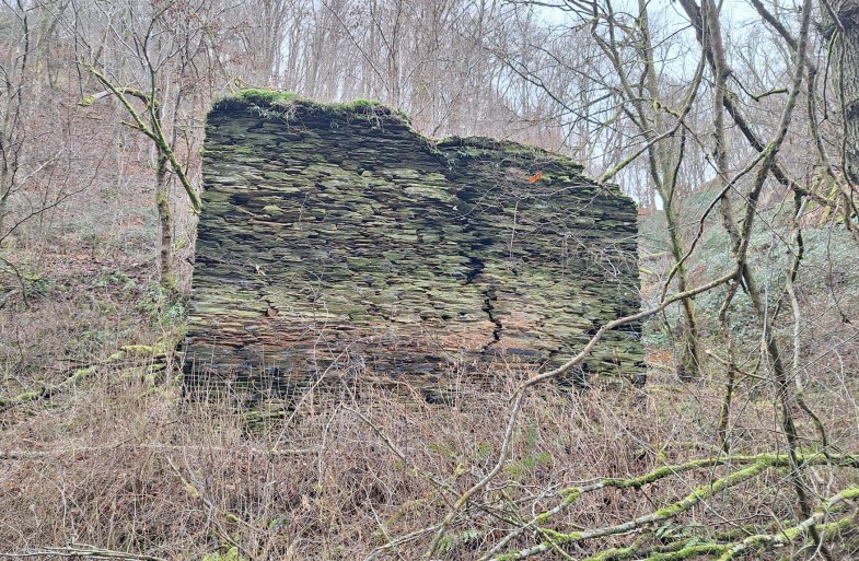 M&uuml;hlenruine an der Rauschenburg | &copy; T. Biersch