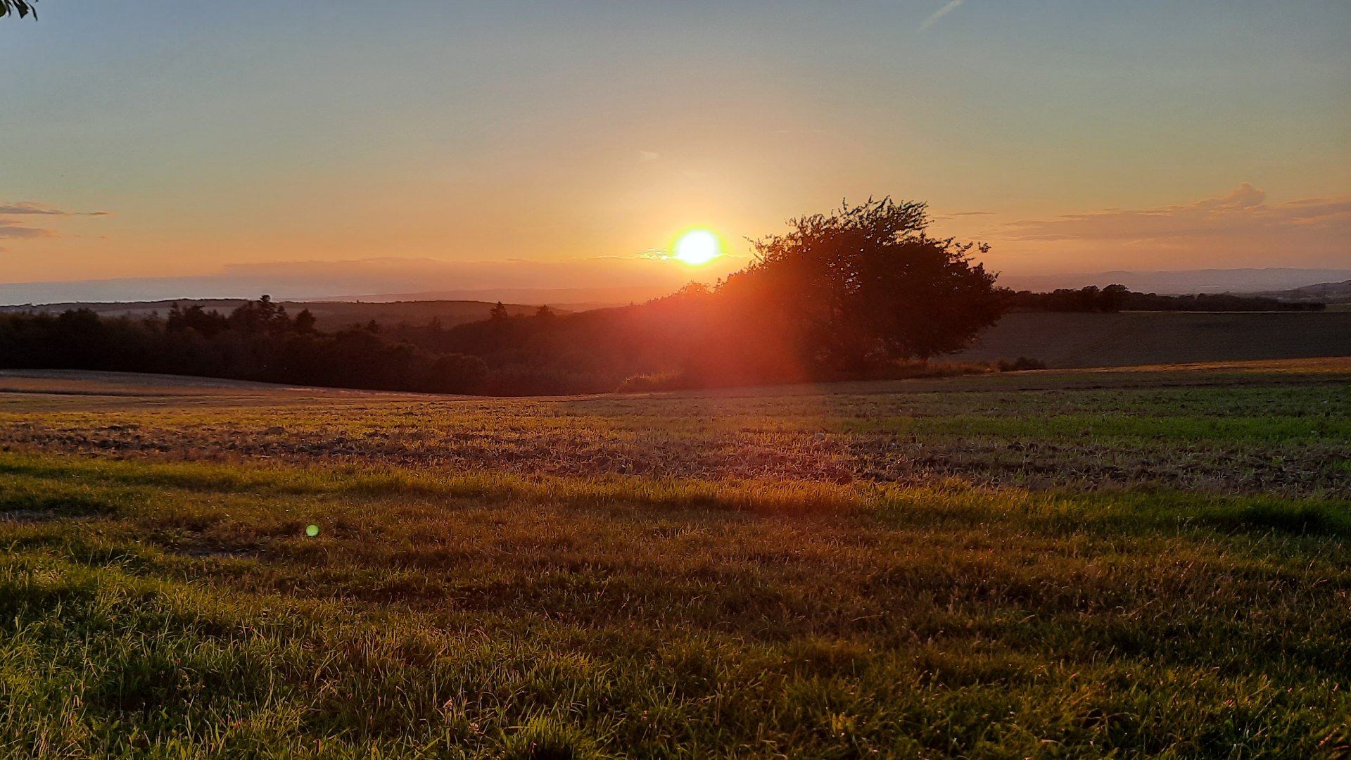 Sonnenuntergang vom Kuckuckskopf in Halsenbach | &copy; Sandra Michel