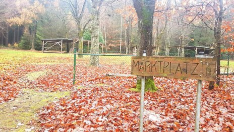 Pfalzfelder Marktplatz | &copy; Thomas Biersch