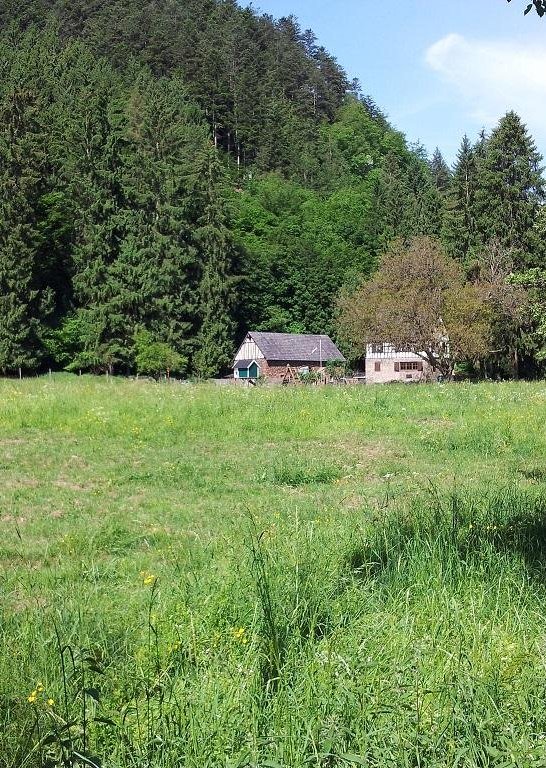 Franzenm&uuml;hle | &copy; T. Biersch