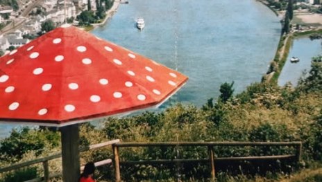 Im Vordergrund die als Fliegenpilz gestaltete Unterstellmöglichkeit am Aussichtspunkt. Im Hintergrund der Rhein.