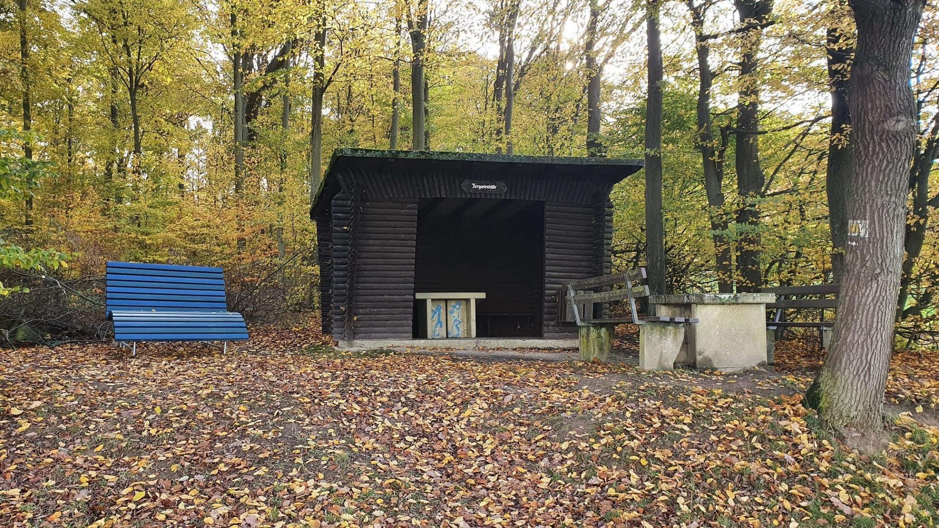 Rastplatz Thiergartenhütte | © T. Biersch Rastplatz Thiergartenhütte | © T. Biersch