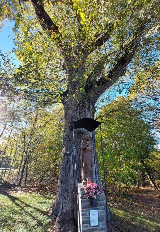 Marienstatue an der Eiche | © T. Biersch Marienstatue an der Eiche | © T. Biersch