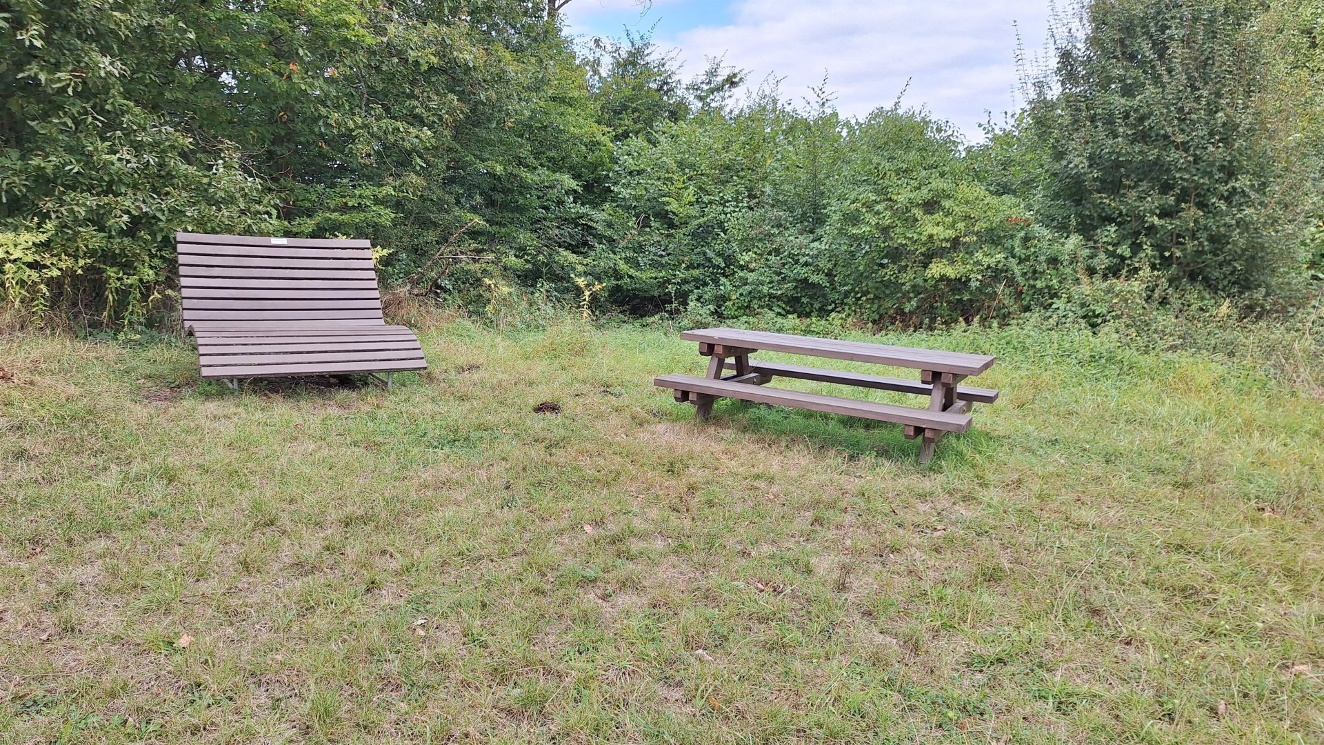Ruhebank mit Picknickplatz | © T. Biersch