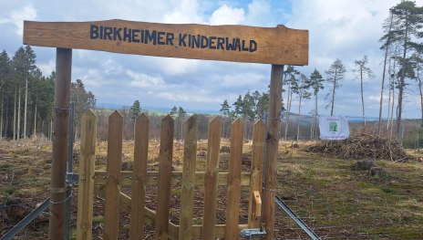 Birkheimer Kinderwald | &copy; T. Biersch