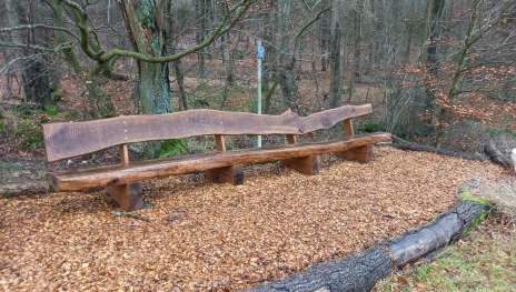 Ruhebank | &copy; C. Vogt