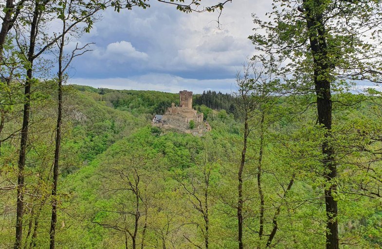 Ehrenburgblick | &copy; T. Biersch