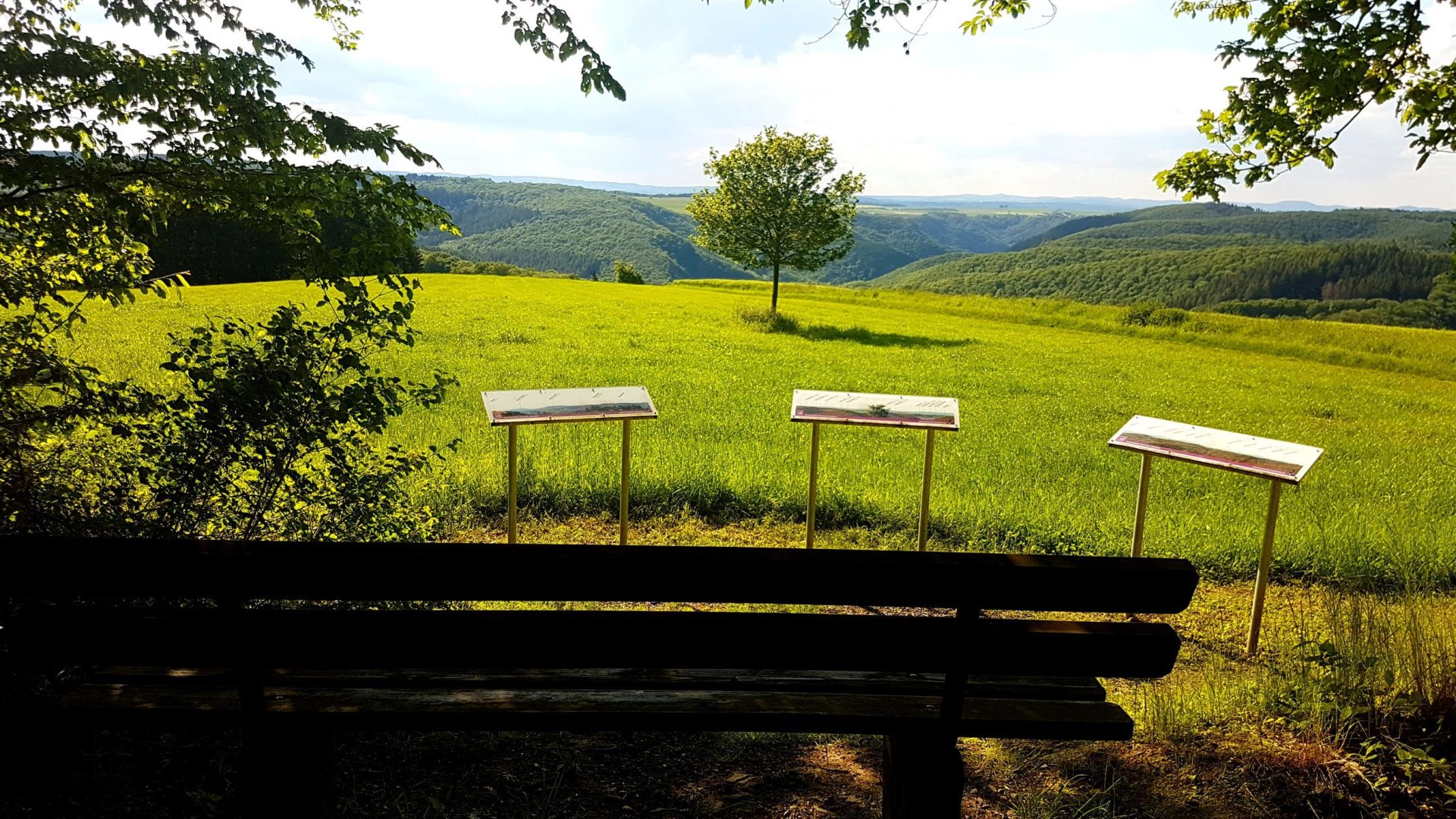 Eifelblick | &copy; T. Biersch
