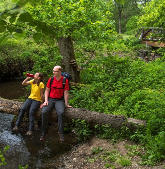 &copy; Klaus Peter Kappest