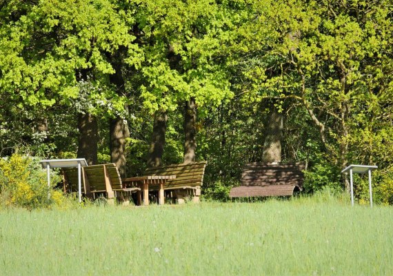 Ruhebank Eifelblick | &copy; B. Vogt