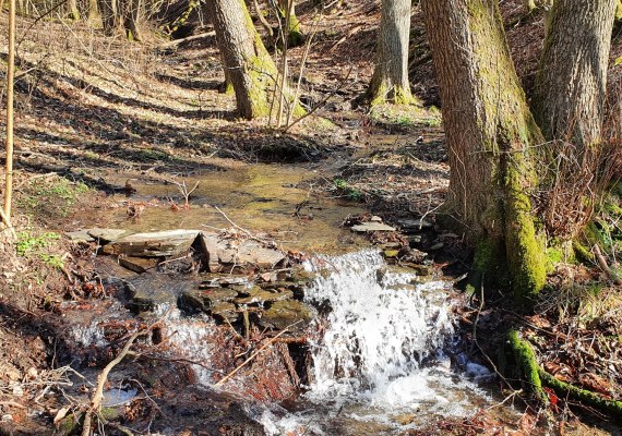kl.Wasserfall am Murscher Bach | © T. Biersch