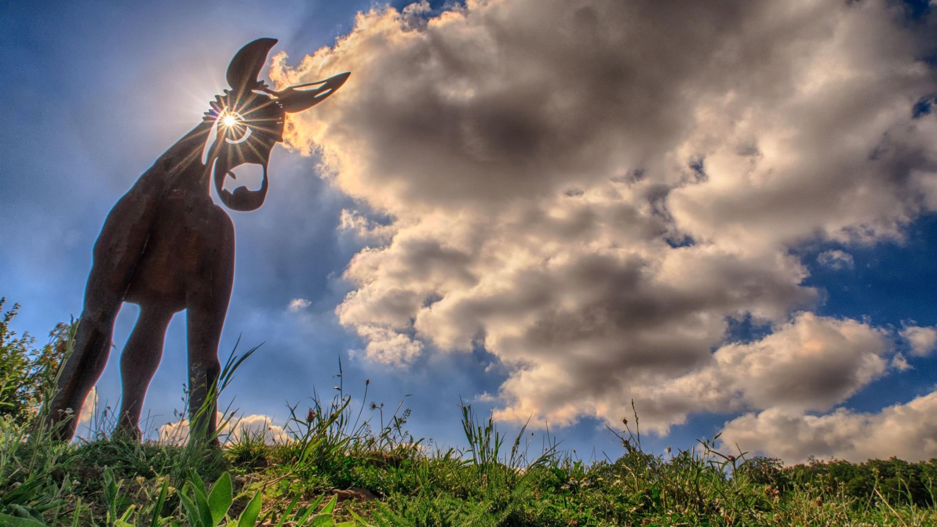Murscher Stahlesel | &copy; Klaus Breitkreutz