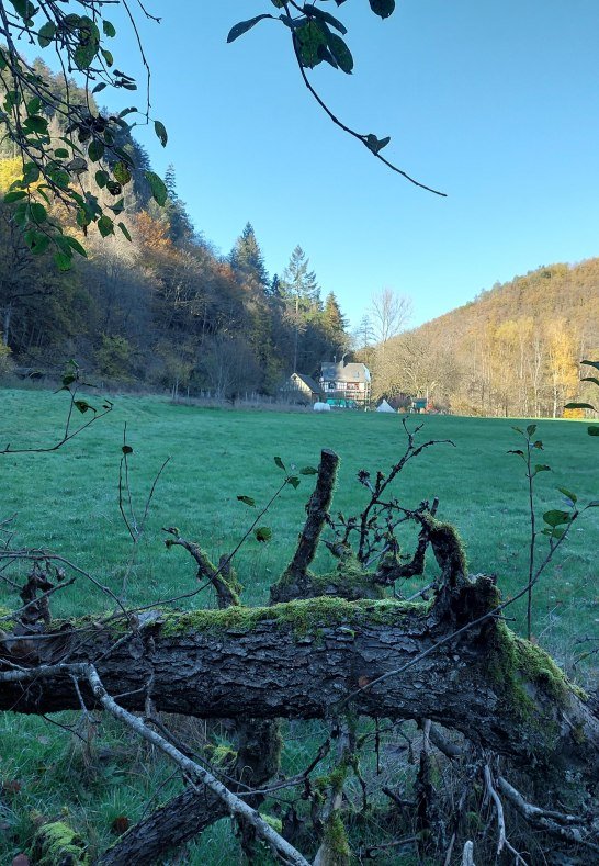 Franzenmühle im Herbst | © T. Biersch