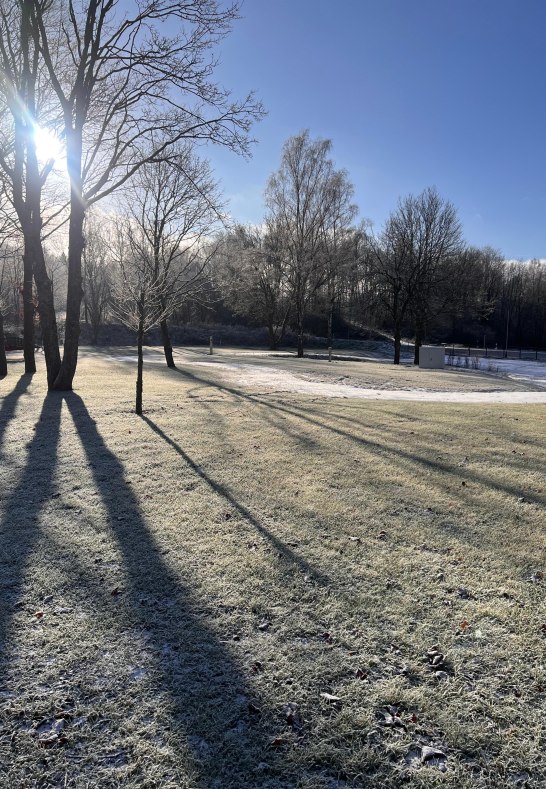 Wintersonne im Park | &copy; M. Nick