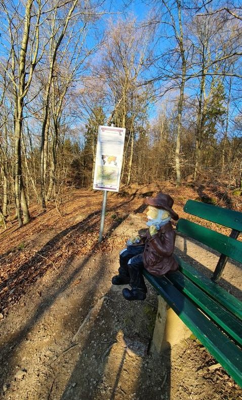 Aussicht Nord Dibbeler | © TI Hunsrück-Mittelrhein