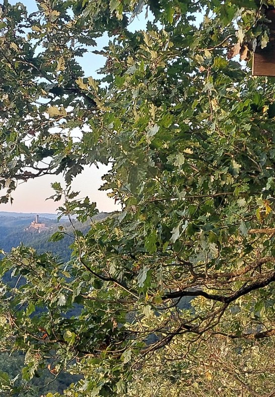 Aussicht vom Mermuther Eck | © TI Hunsrück-Mittelrhein