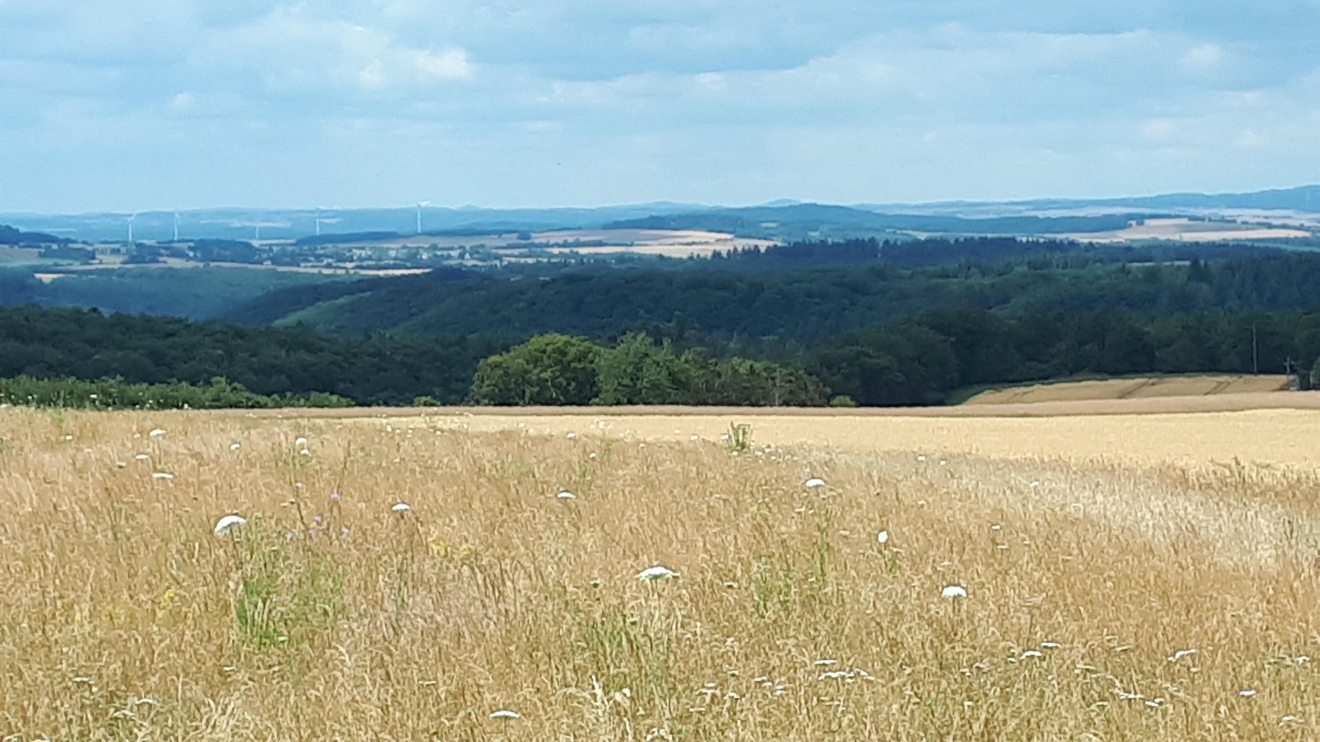 Fernblick am Wanderweg | &copy; G. Liesenfeld