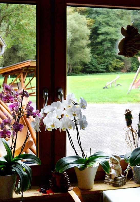 Ausblick zur Terrasse | &copy; Anna Becker