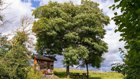 Picknickbank mit Insektenhotel am Rundweg Nr. 18 | © S. Mauer