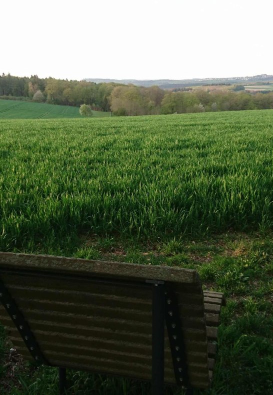 Ehrbachblick | © B. Vogt