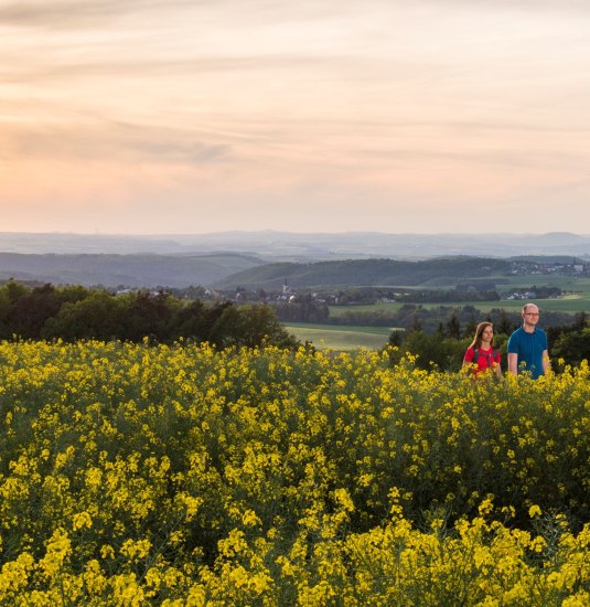 Blick über den Vorderhunsrück | © Klaus-Peter Kappest