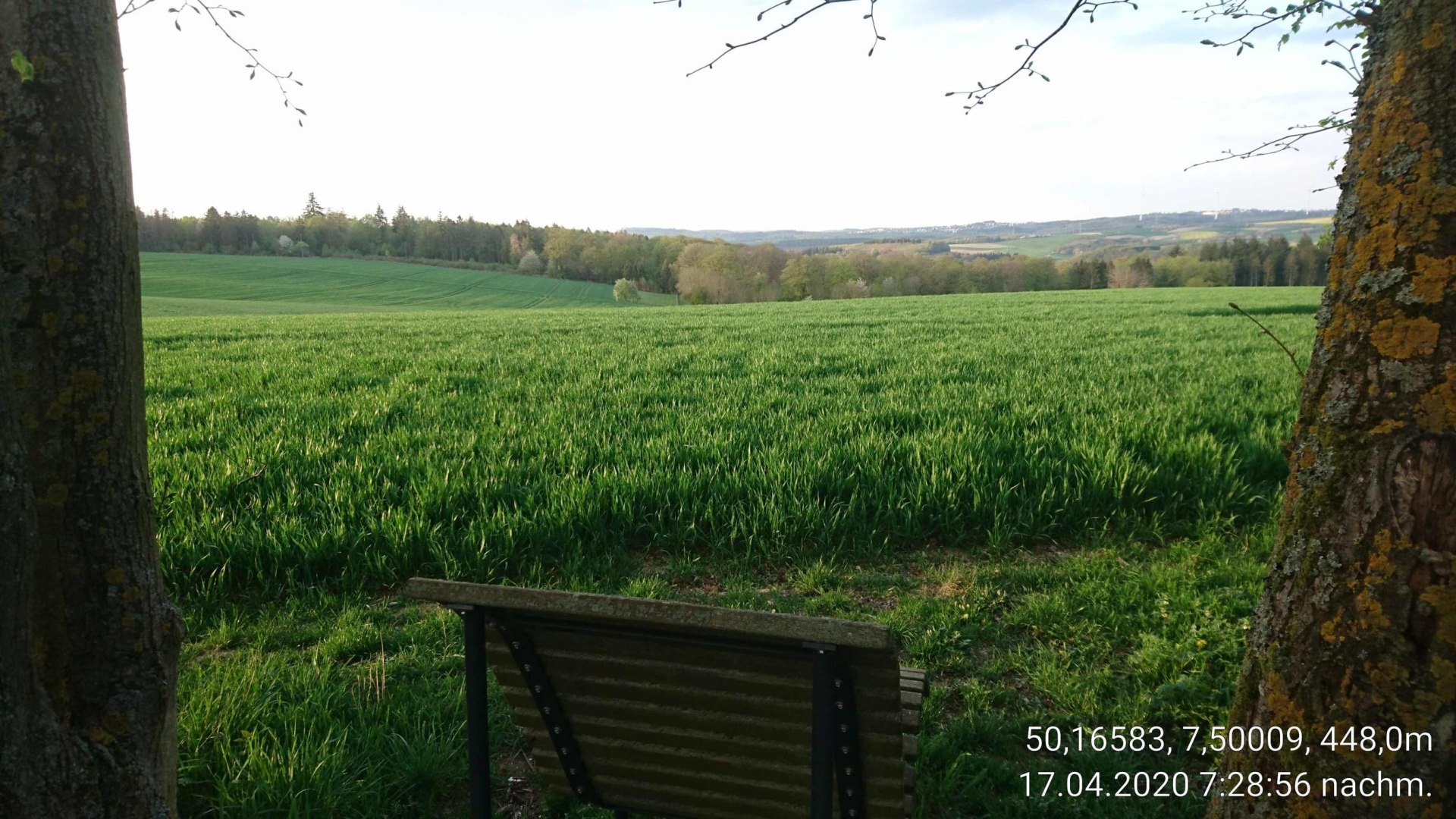 Ehrbachblick mit Ruhebank | © B. Vogt Ehrbachblick mit Ruhebank | © B. Vogt