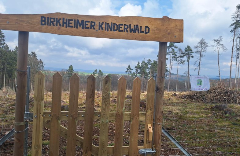 Birkheimer Kinderwald | © T. Biersch Birkheimer Kinderwald | © T. Biersch