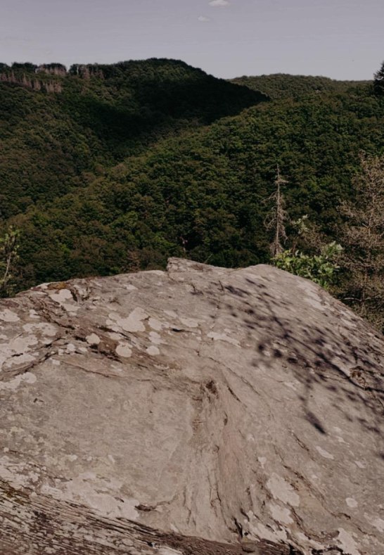 Ausblick im Baybachtal | © Anna Becker