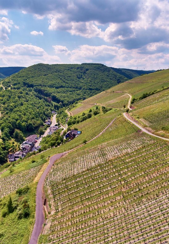 Engehoeller_Goldemund_Oberwesel_Lanius-Knab_Weinpr | © Lanius-Knab Engehoeller_Goldemund_Oberwesel_Lanius-Knab_Weinpr | © Lanius-Knab