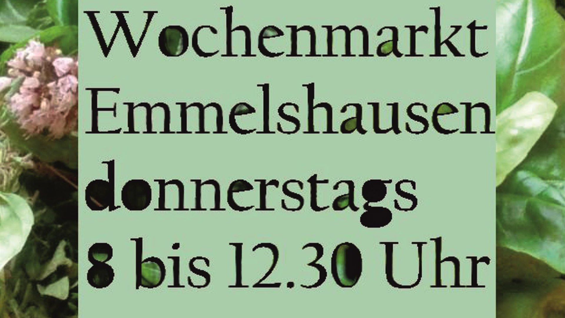 Wochenmarkt | © Sandra Michel