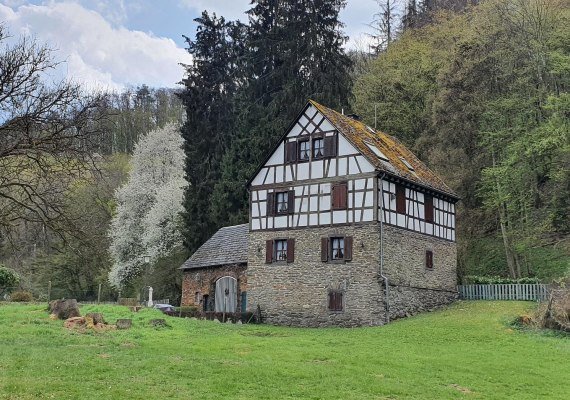 Franzenm&uuml;hle mit Fachwerk | &copy; T. Biersch