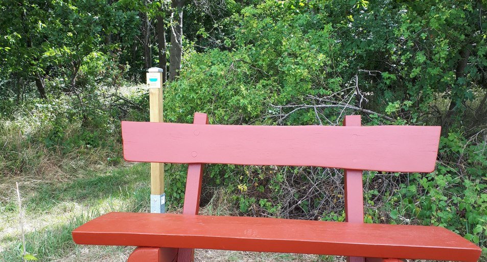 Ruhebank | &copy; G. Liesenfeld