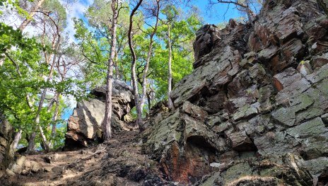 Fels von unten. Im Hang B&auml;ume mit blauem Himmel als Hintergrund | &copy; Elke Bender