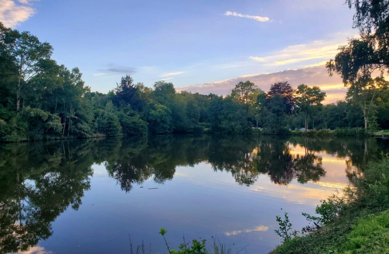 Abendsonne am See | &copy; M. Nick