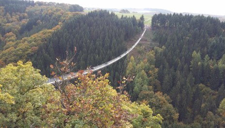 Geierlay Hängeseilbrücke im herbstlichen Wald | © TI Hunsrück-Mittelrhein