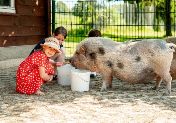 Ferienspaß | © C. Wölbert