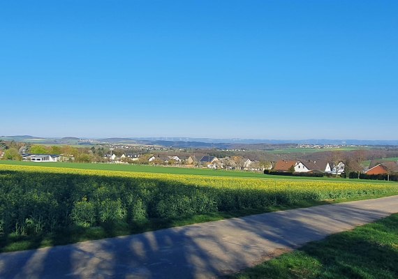 Eifelblick Mermuth am Radweg | © T. Biersch