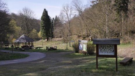 Waldforum | &copy; Bernhard Vogt