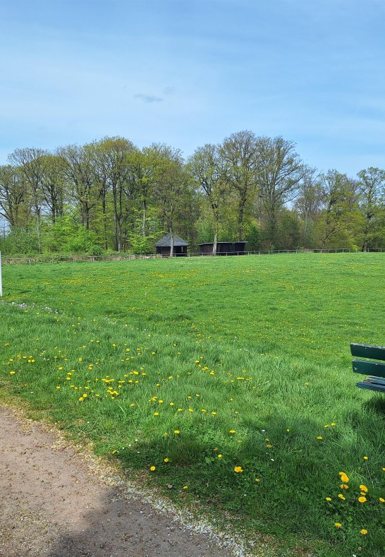 Grillhütte am Sportplatz | © T. Biersch