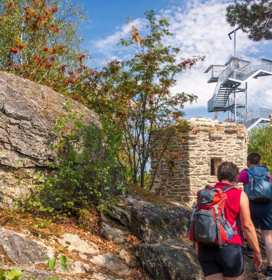 Aussichtsturm Spitzer Stein. Traumschleifchen Spitzer Stein. Traumschleife Mittelrhein
