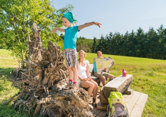 Stahlesel - Wurzelbank | © RPT - Dominik Ketz