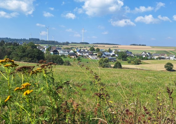 Blick vom Ginsterberg | &copy; T. Biersch