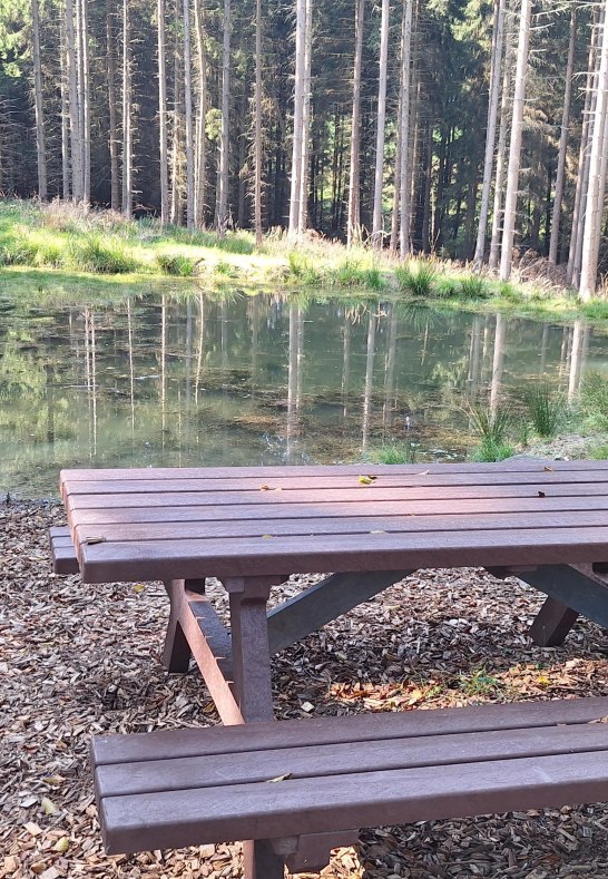 Himmelsteich mit Picknickbank | &copy; T. Biersch