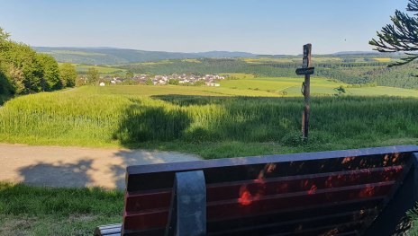 Vom Wald aus