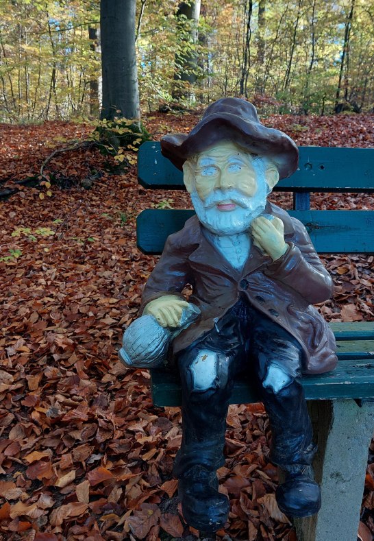 Dippeler im Herbst | &copy; T. Biersch
