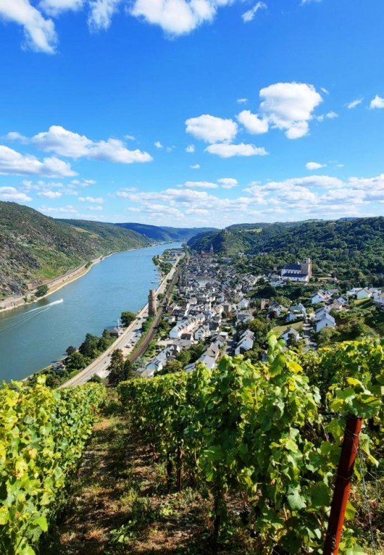 11. Romantischer Rheinblick von den Weinbergen obe | &copy; Familie Decker, Oberwesel