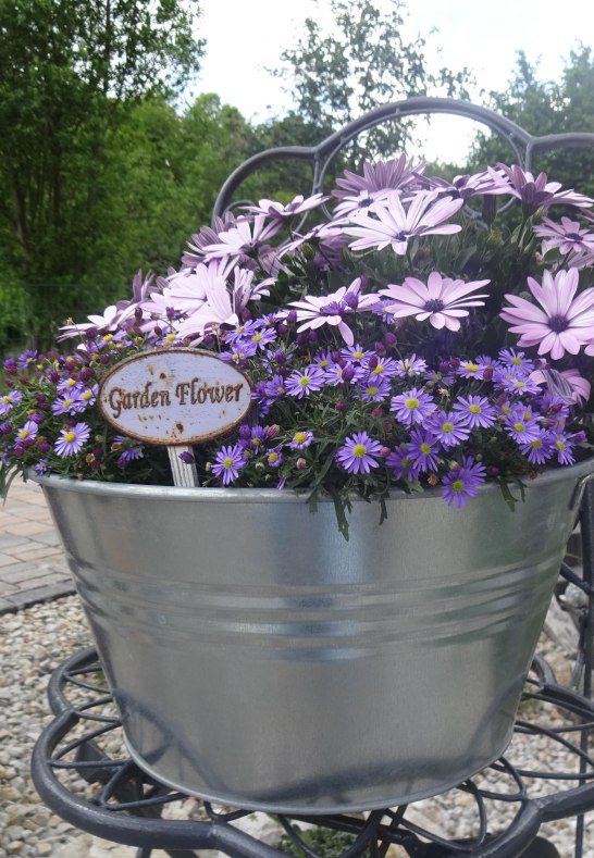 Deko | © Karin Weber