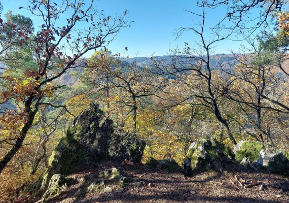 Am Felsen | &copy; T. Biersch