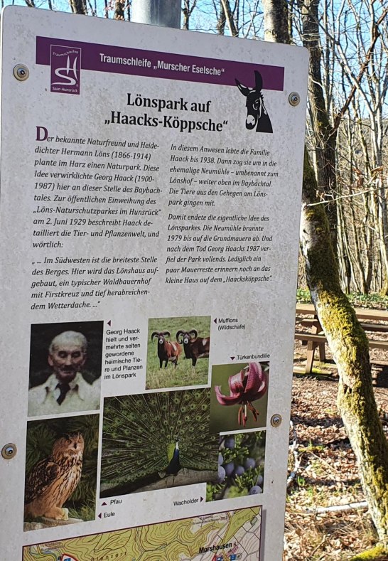 Infotafel | &copy; T. Biersch