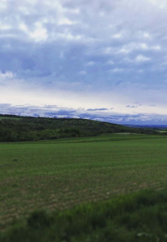 Ausblick über die Felder | © Anna Becker